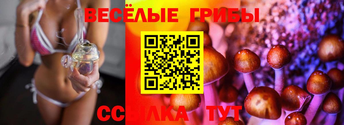 Воркута  Псилоцибиновые грибы Psilocybe  Вход с VPN 