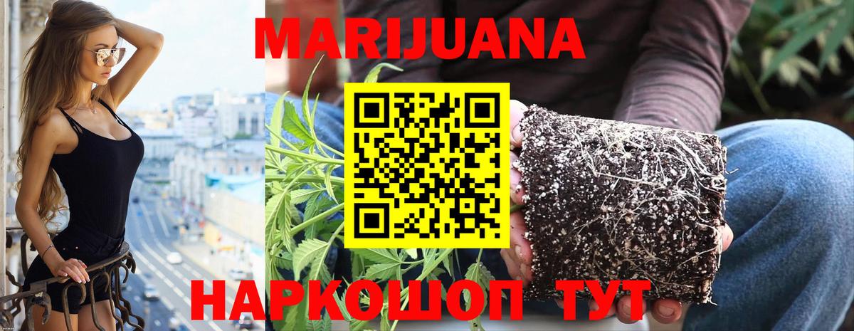 Канабис план  Бошки Шишки планчик  Воркута  Вход с VPN 